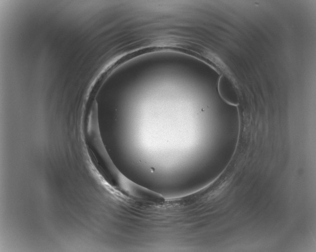 X0000066940939200603241138