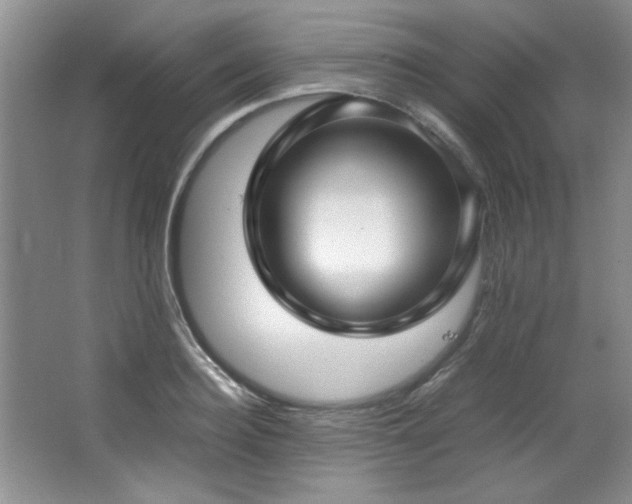 X0000066940940200603241138