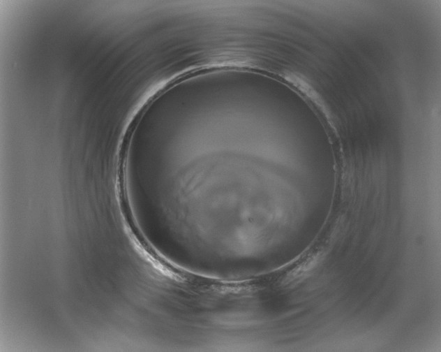 X0000066940941200603241138