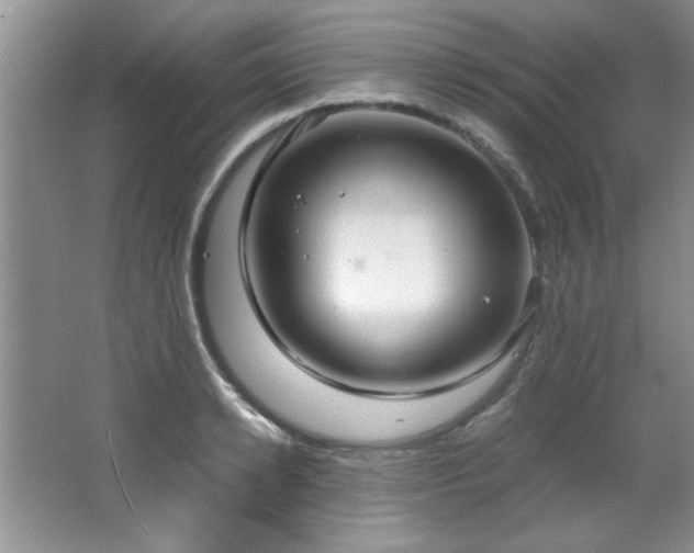 X0000066940942200603241138