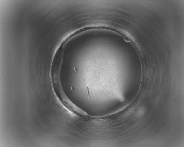 X0000066940943200603241138