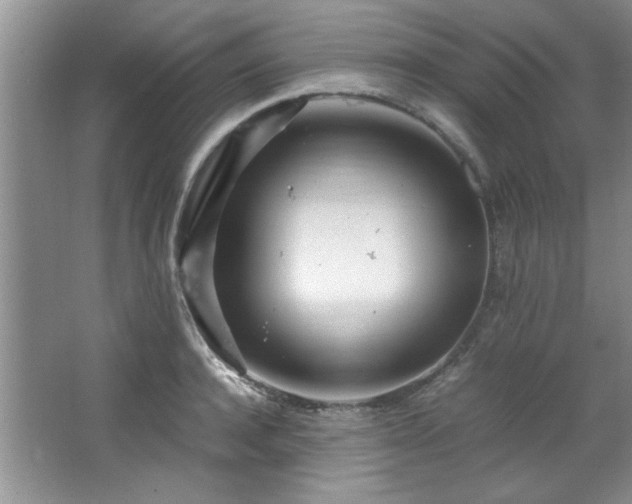 X0000066940944200603241138