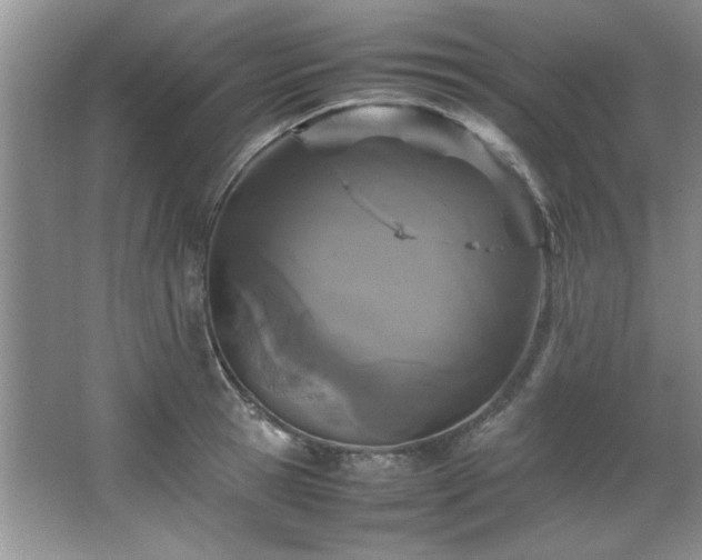 X0000066940945200603241138