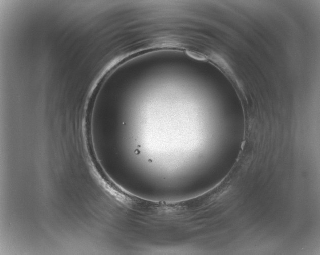 X0000066940947200603241138