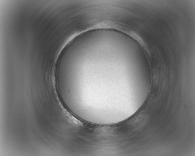 X0000066940950200603241138