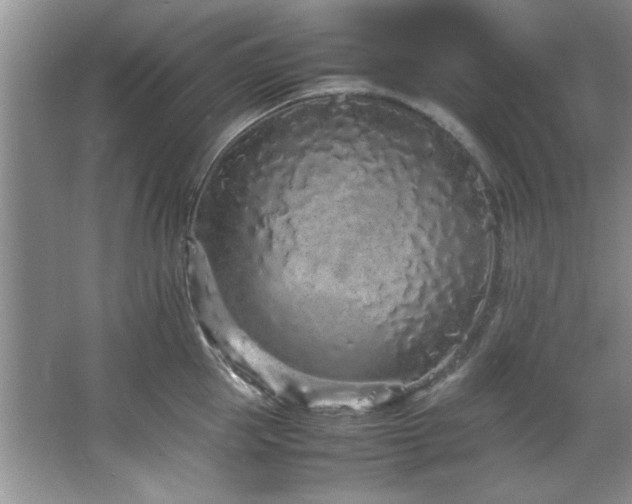 X0000066940953200603241138