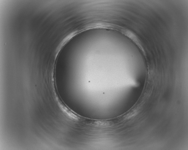 X0000066940954200603241138