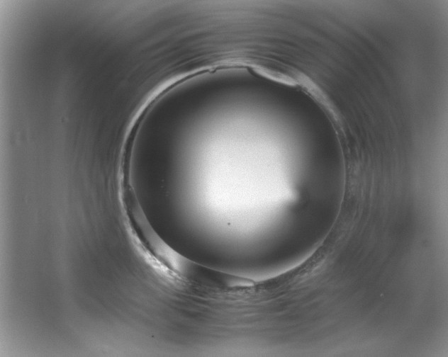 X0000066940955200603241138