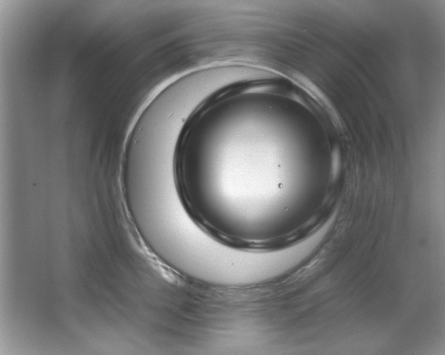 X0000066940956200603241138