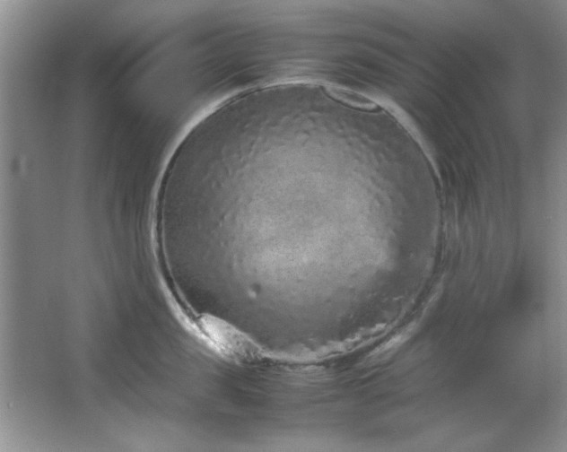 X0000066940957200603241139