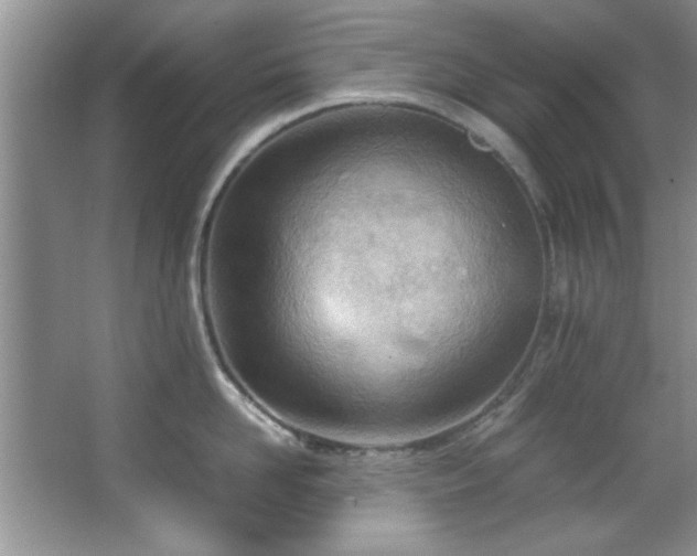 X0000066940958200603241139