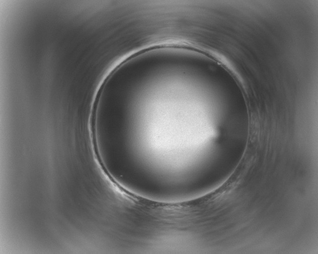 X0000066940959200603241139