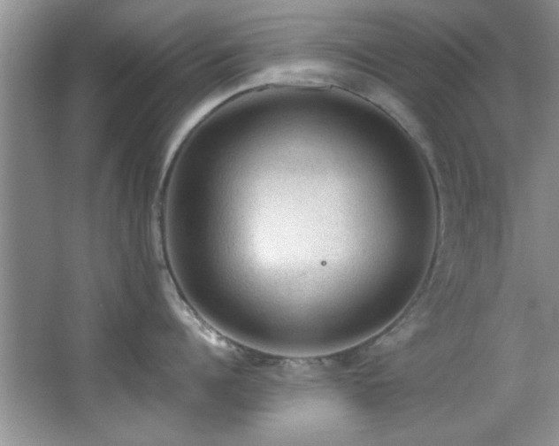 X0000066940960200603241139