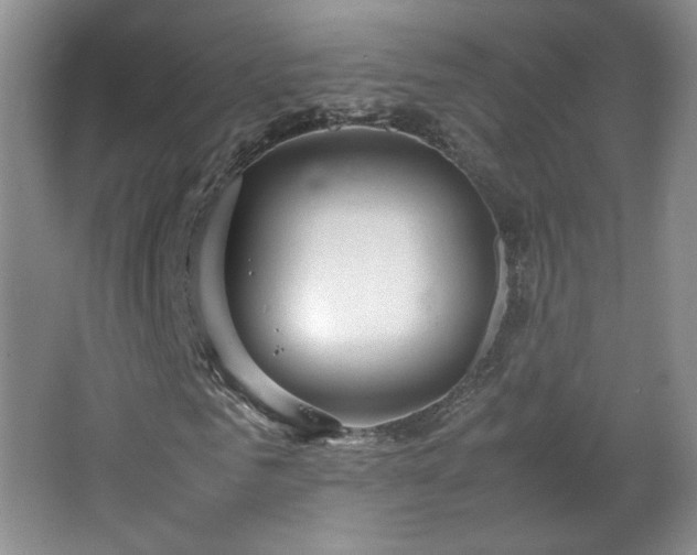 X0000066940961200603241138