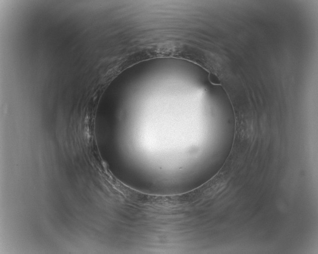 X0000066940962200603241138