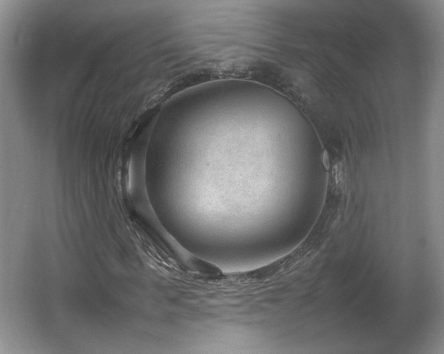 X0000066940963200603241138