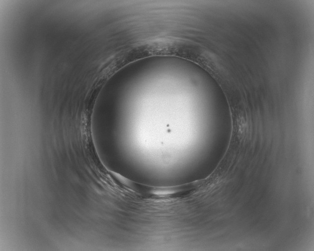 X0000066940964200603241138