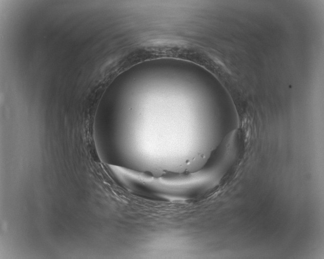 X0000066940965200603241138