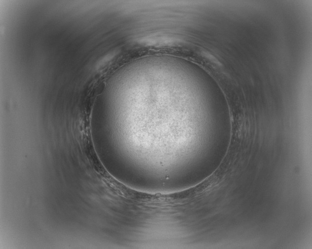 X0000066940966200603241138