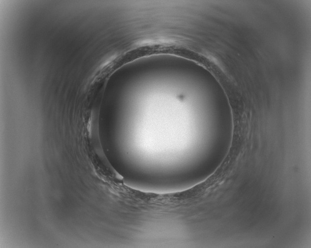 X0000066940967200603241138