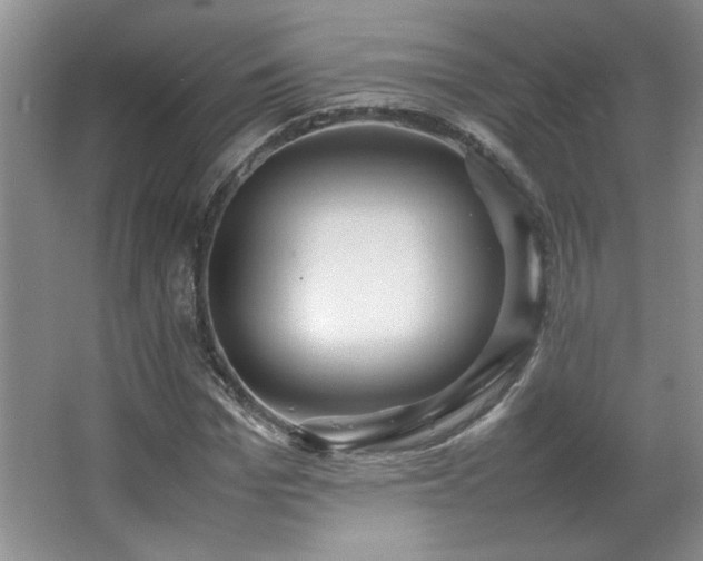 X0000066940969200603241138