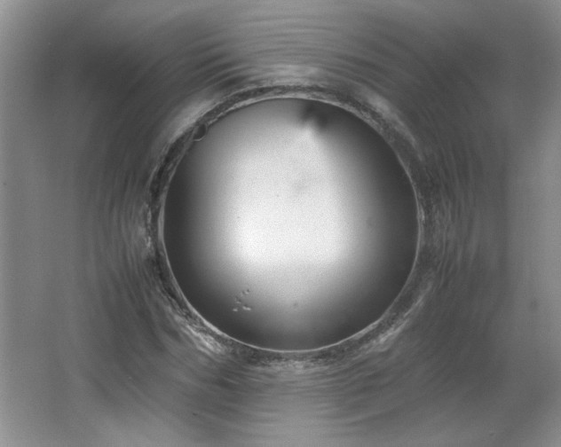 X0000066940970200603241138