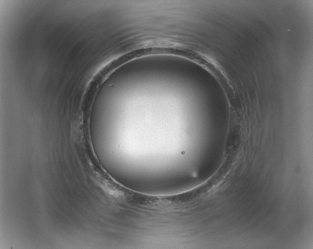 X0000066940971200603241138