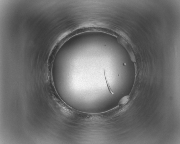 X0000066940974200603241138