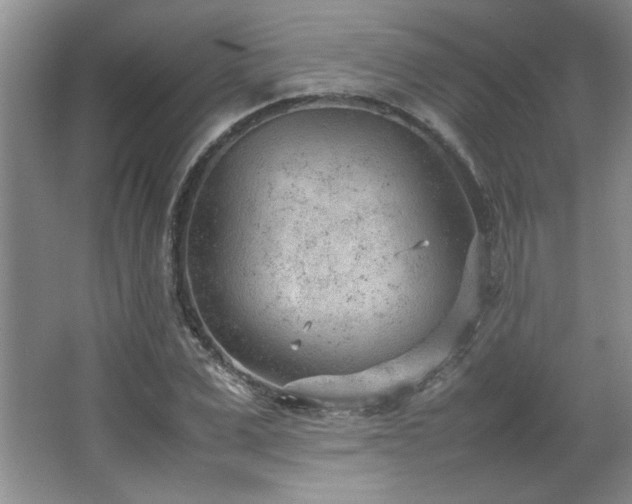 X0000066940975200603241138