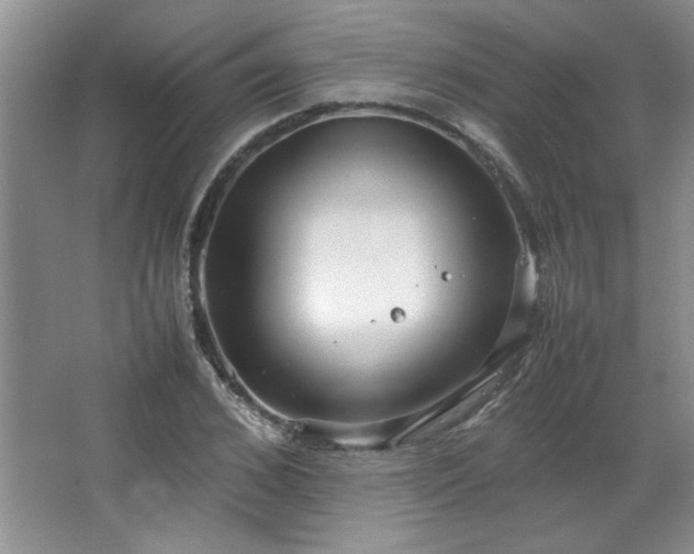 X0000066940976200603241137