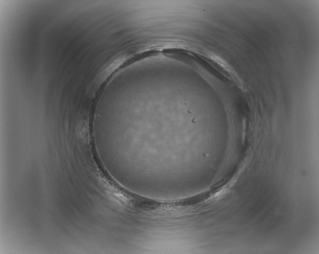 X0000066940977200603241137