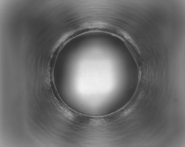 X0000066940978200603241137