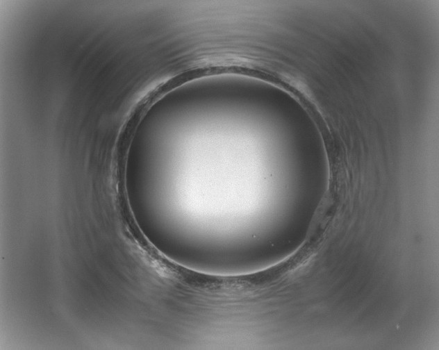 X0000066940979200603241137