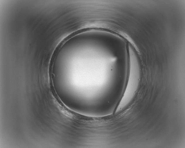 X0000066940980200603241137