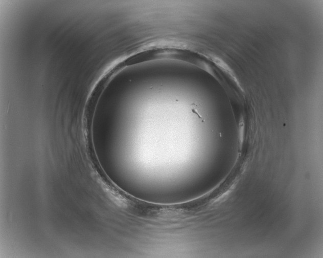 X0000066940981200603241137