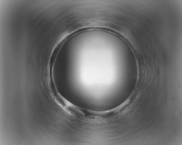 X0000066940982200603241137