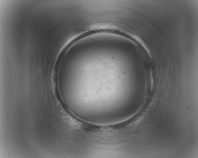 X0000066940983200603241137