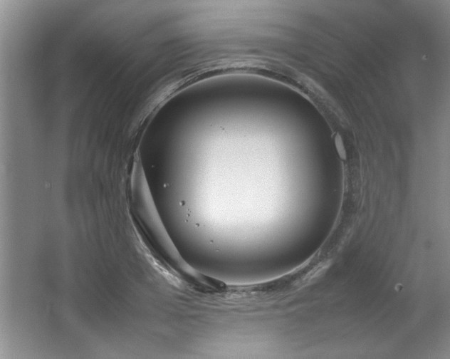 X0000066940985200603241137