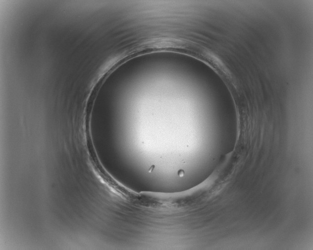 X0000066940986200603241137