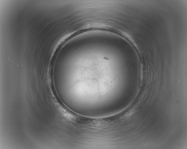 X0000066940987200603241137