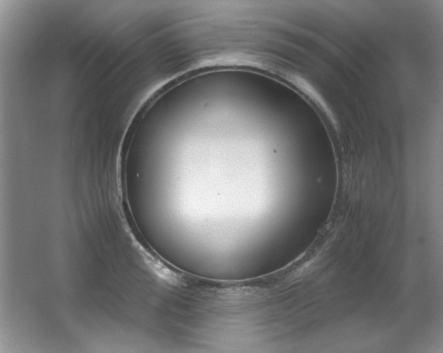 X0000066940988200603241137