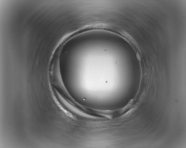 X0000066940989200603241137