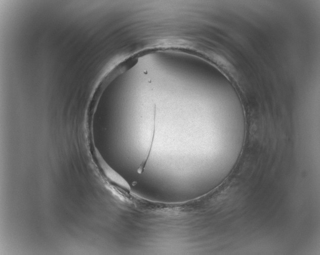 X0000066940990200603241137