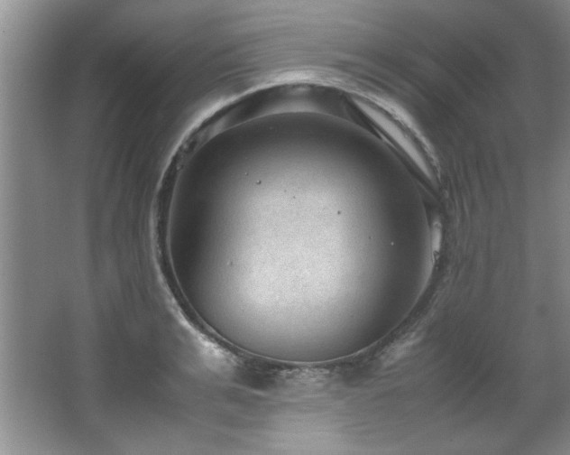 X0000066940991200603241137