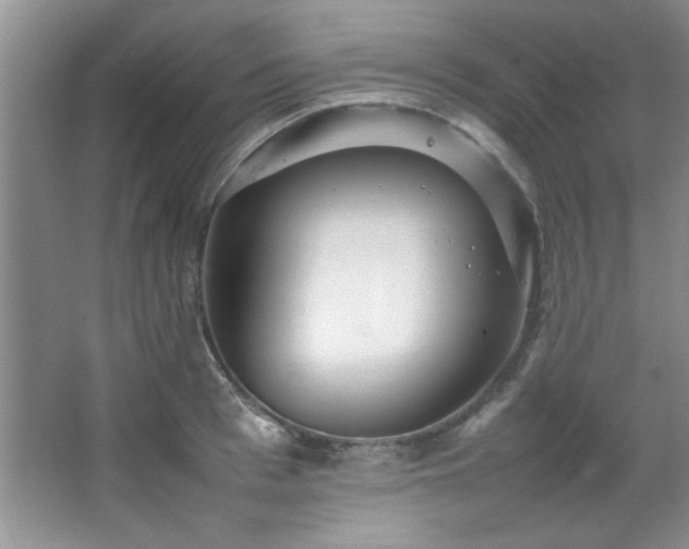 X0000066940993200603241137