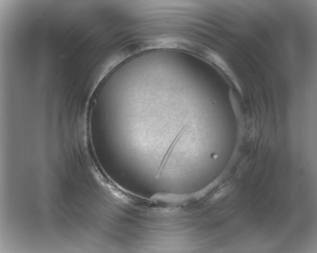 X0000066940994200603241137