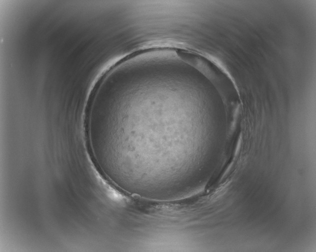 X0000066940995200603241137