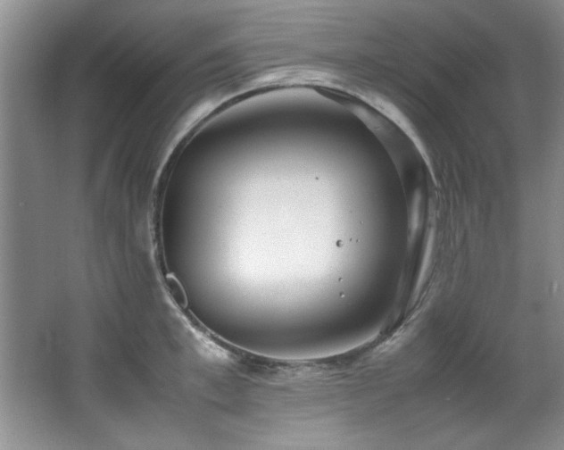 X0000066940997200603241137