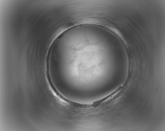 X0000066940999200603241137