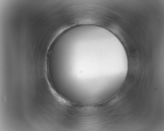 X0000066941000200603241137